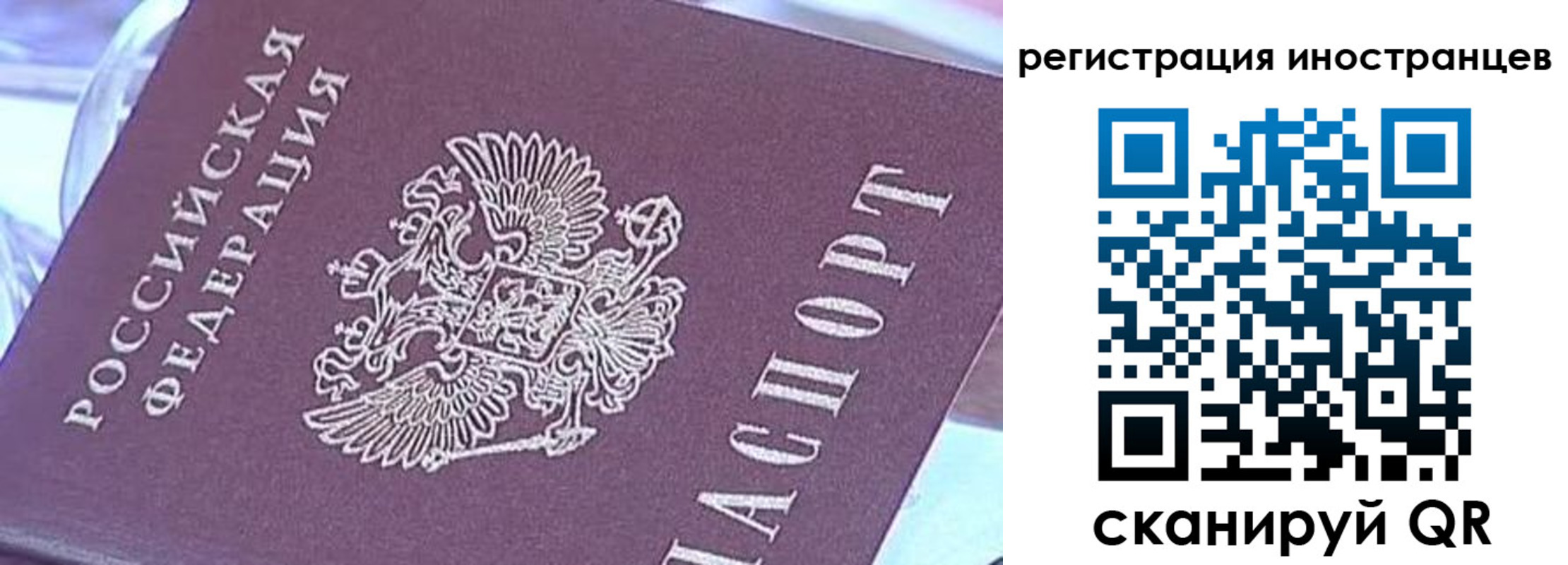 прописка для работы в Сельцо